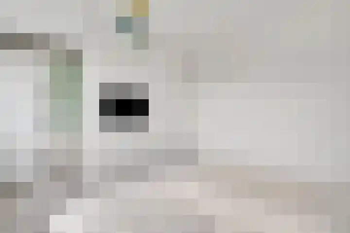 Groene Specht 6 Eijsden thumbnail 12