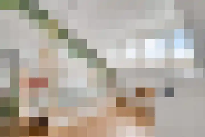 Groene Specht 6 Eijsden thumbnail 15
