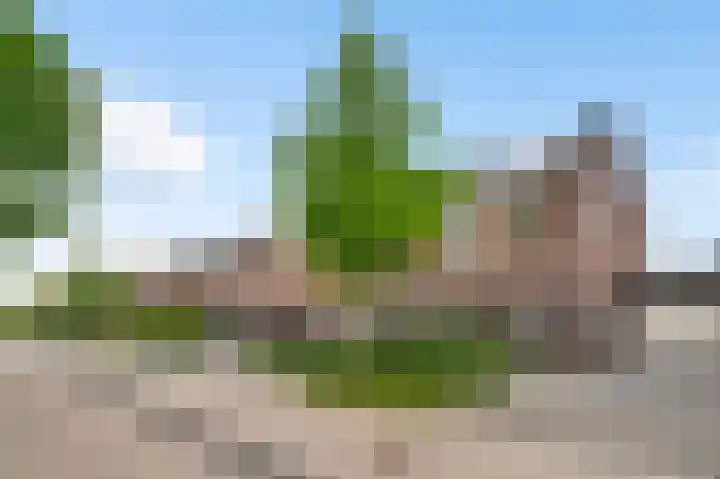 Groene Specht 6 Eijsden thumbnail 20