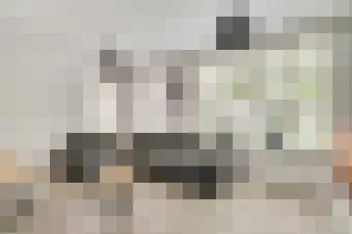 Groene Specht 6 Eijsden thumbnail 5