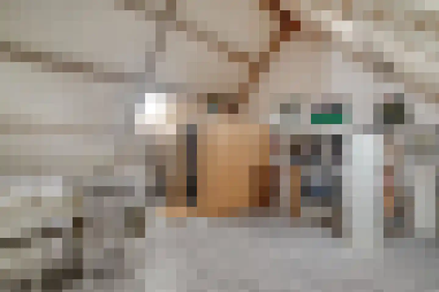 Groene Specht 9 Zeewolde thumbnail 21