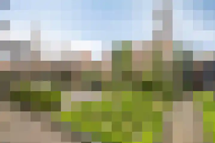 Groene Specht 9 Zeewolde thumbnail 22