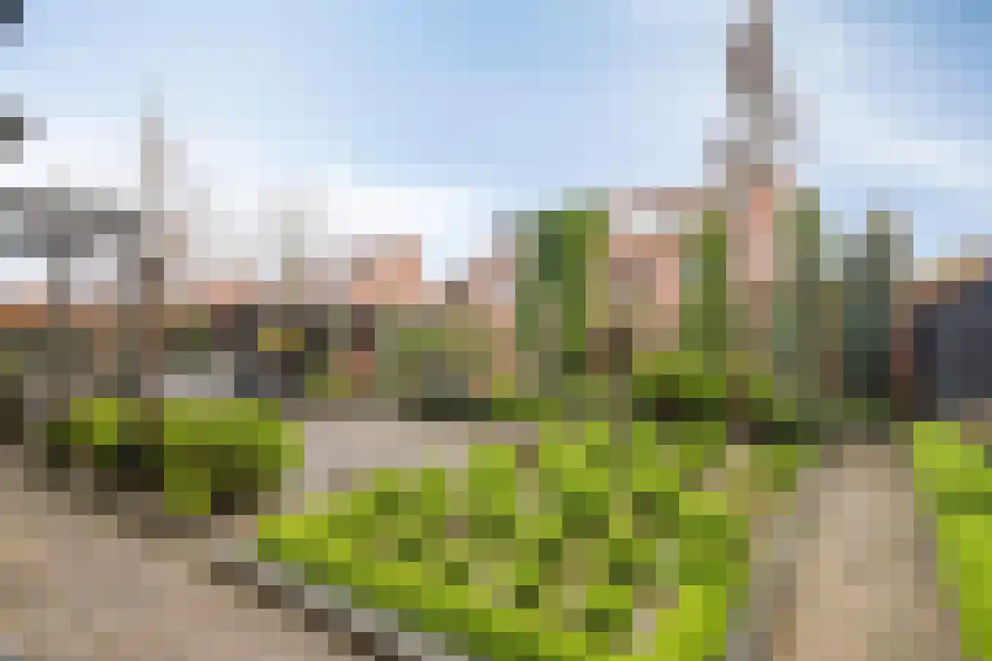 Groene Specht 9 Zeewolde thumbnail 23