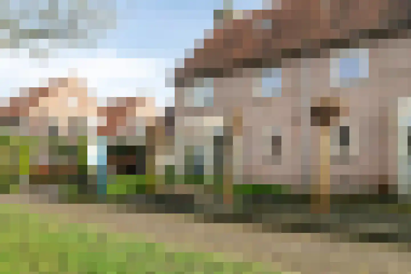 Groene Specht 9 Zeewolde thumbnail 4