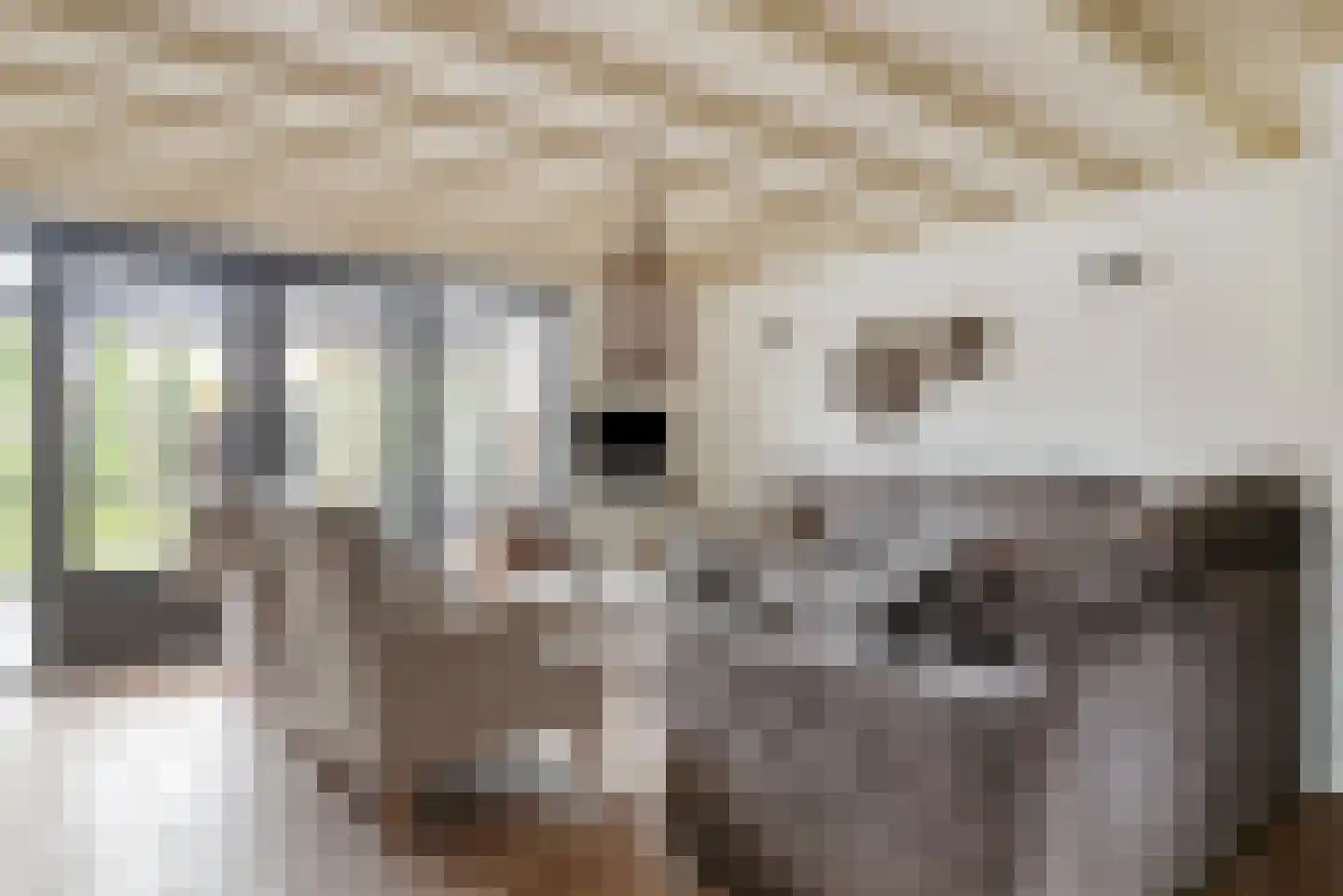 Groene Specht 9 Zeewolde thumbnail 7