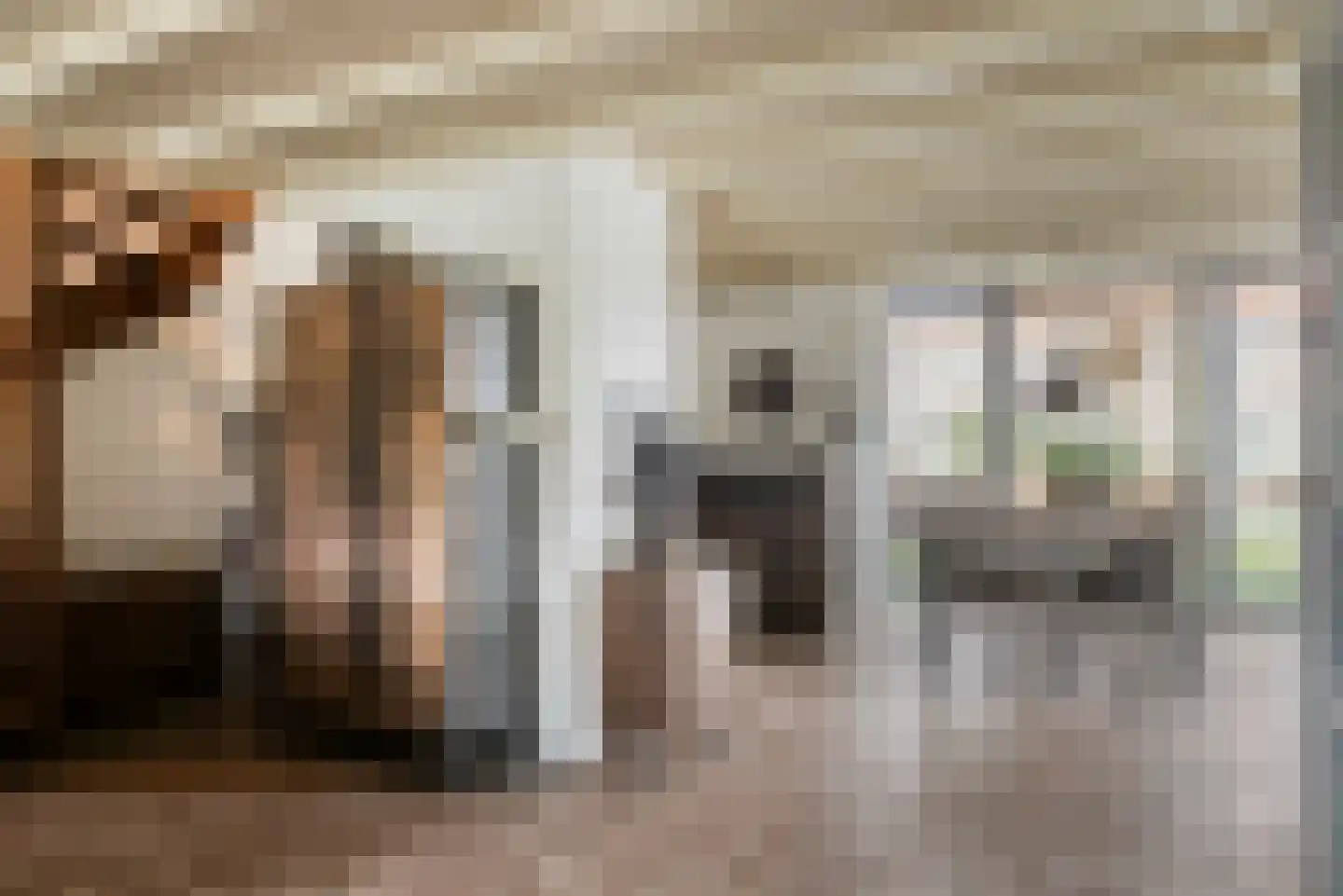 Groene Specht 9 Zeewolde thumbnail 9
