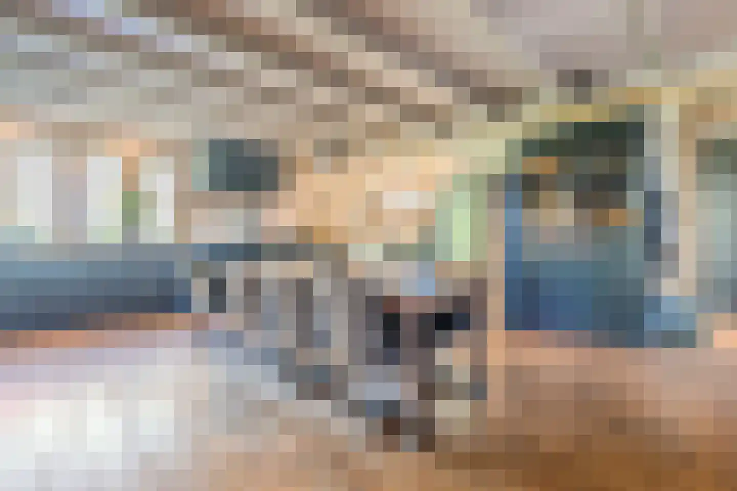 Groene Steeg 11 Hasselt thumbnail 20