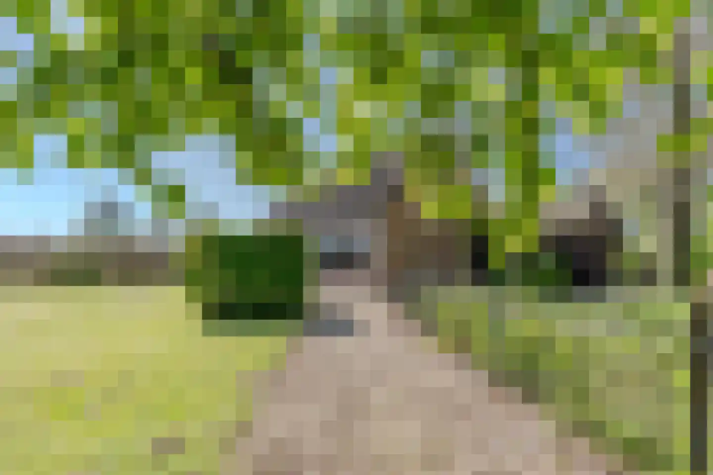 Groene Steeg 11 Hasselt thumbnail 57
