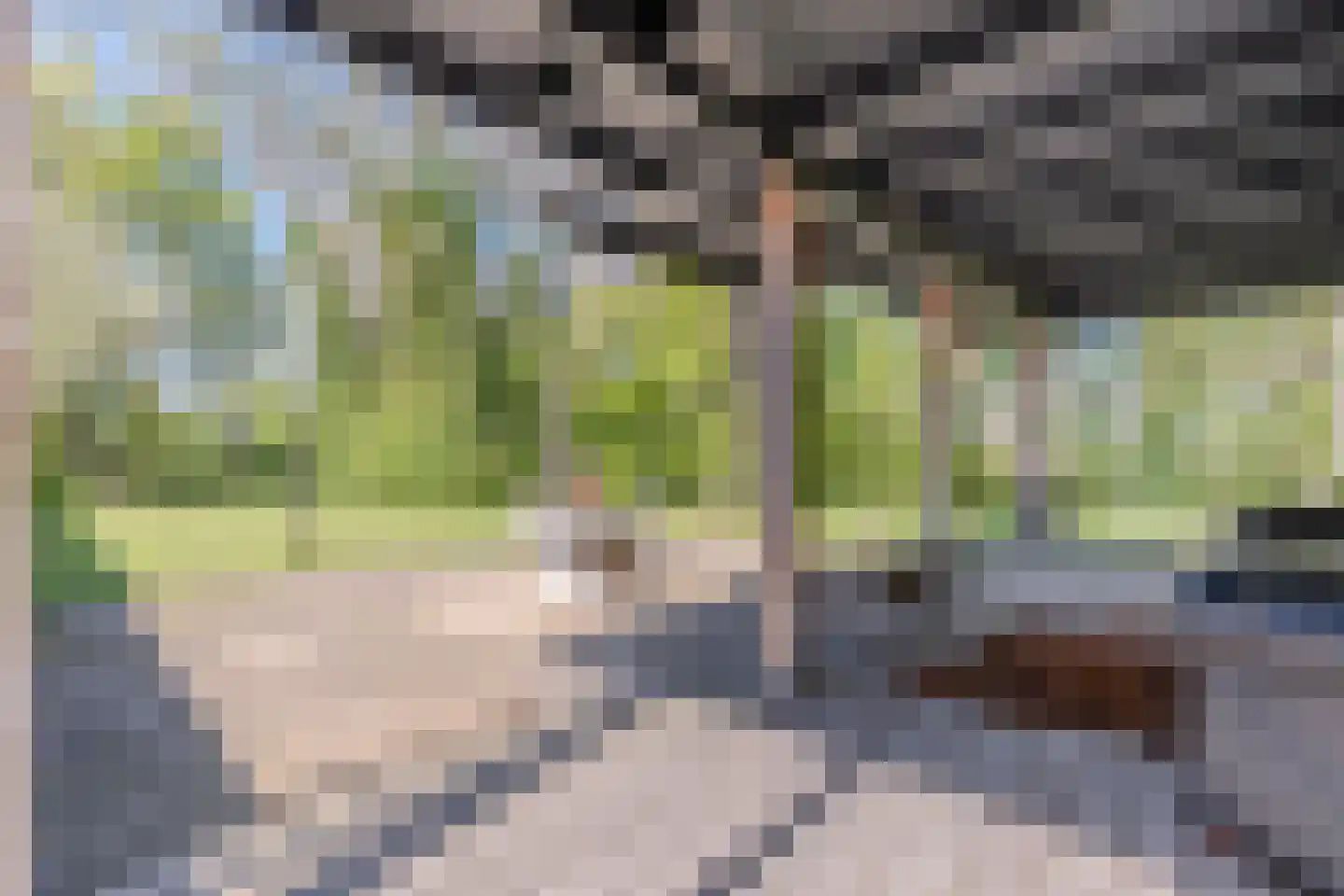 Groene Steeg 11 Hasselt thumbnail 61