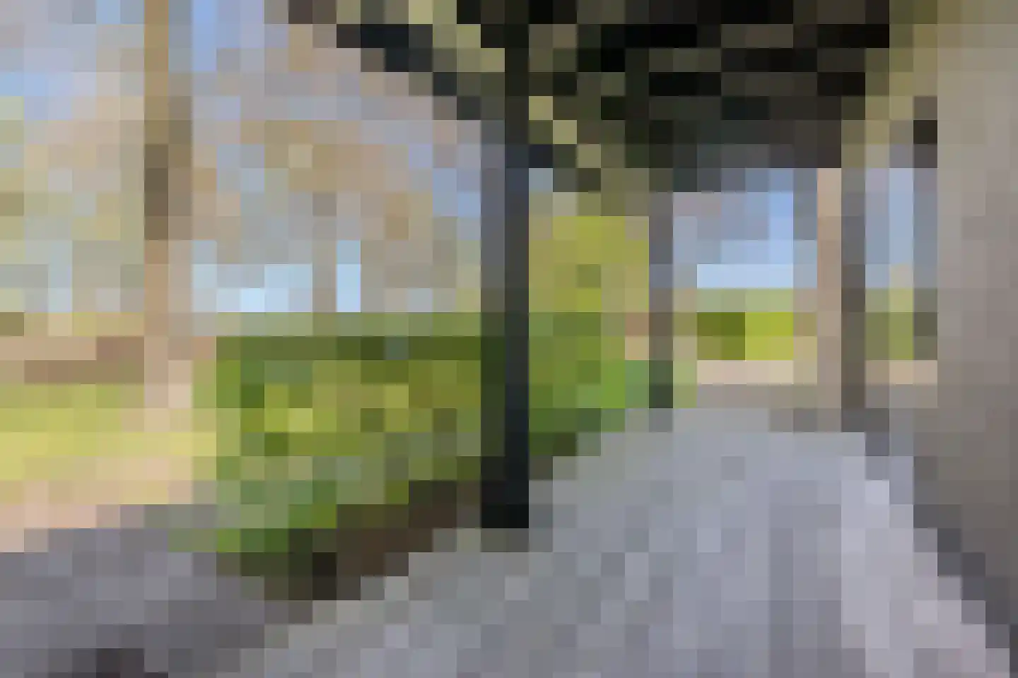 Groene Steeg 11 Hasselt thumbnail 66