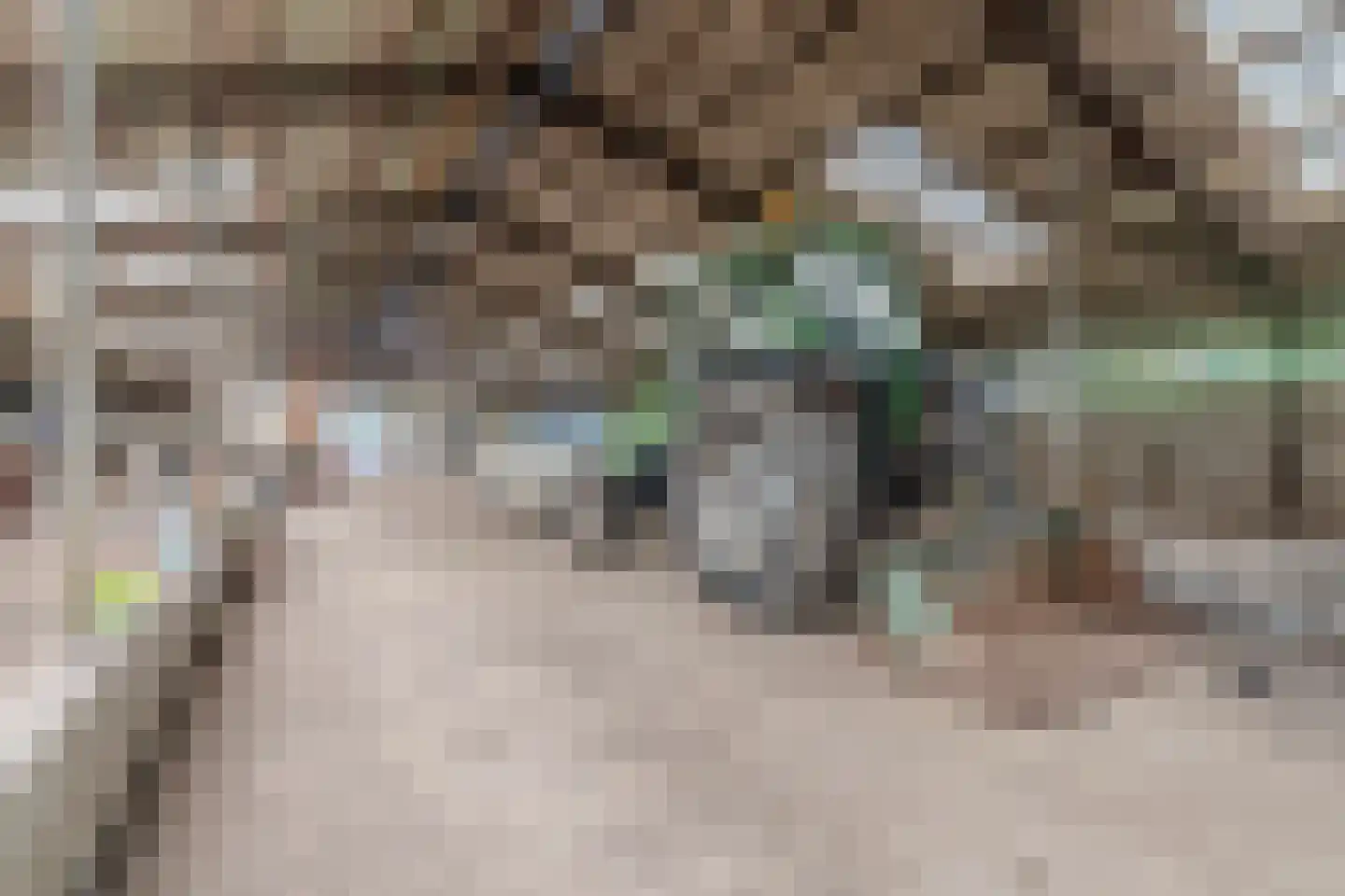 Groene Steeg 11 Hasselt thumbnail 74