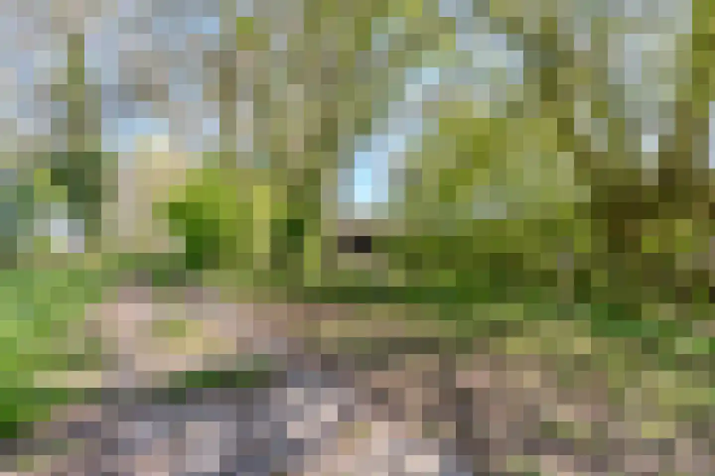 Groene Steeg 11 Hasselt thumbnail 79