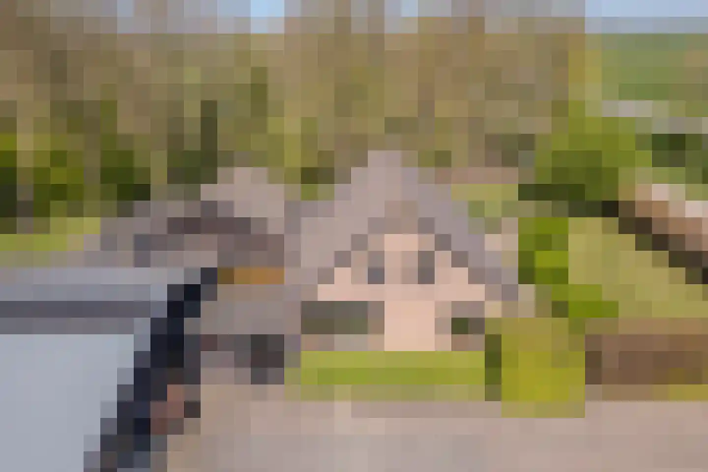 Groene Steeg 11 Hasselt thumbnail 89