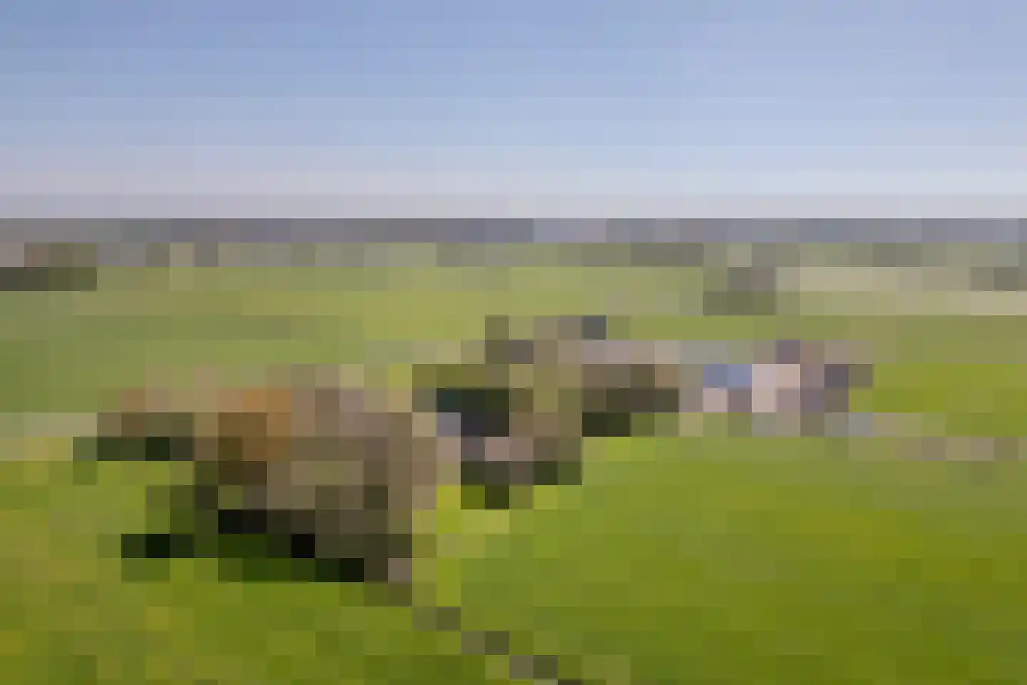 Groene Steeg 11 Hasselt thumbnail 94