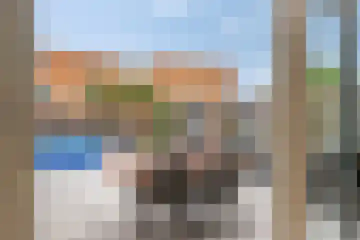 Groene Steen 1 Hoorn thumbnail 10