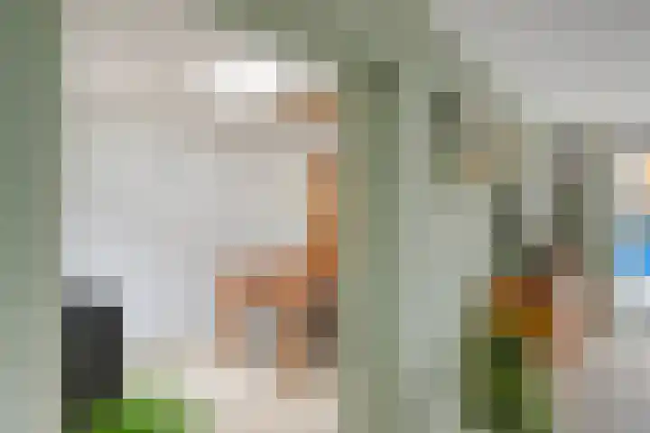 Groene Steen 1 Hoorn thumbnail 13