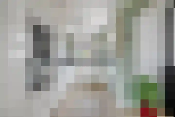 Groene Steen 1 Hoorn thumbnail 17