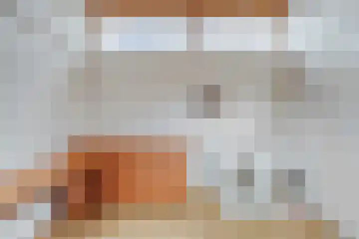 Groene Steen 1 Hoorn thumbnail 32