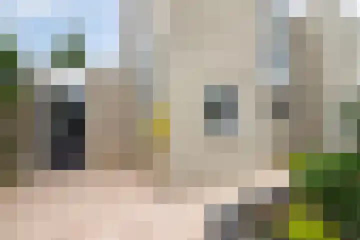 Groene Steen 1 Hoorn thumbnail 4