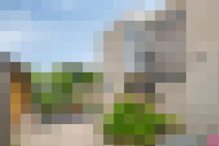 Groene Steen 1 Hoorn thumbnail 46