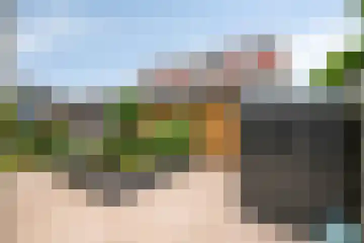 Groene Steen 1 Hoorn thumbnail 5