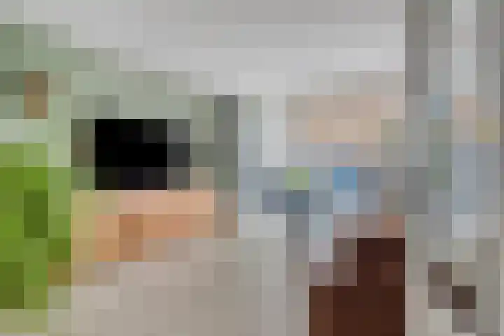 Groene Steen 1 Hoorn thumbnail 8