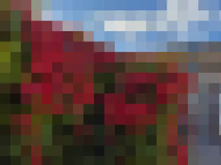 Groene Steen 13 Hoorn thumbnail 23