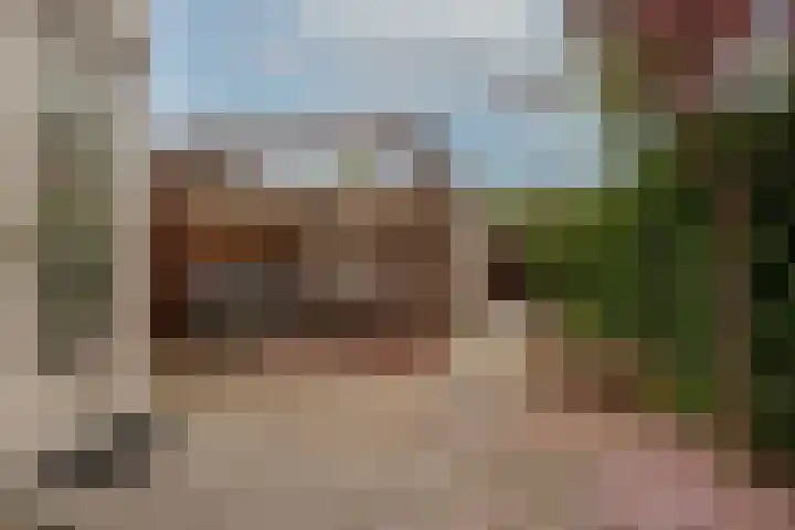 Groene Steen 13 Hoorn thumbnail 24