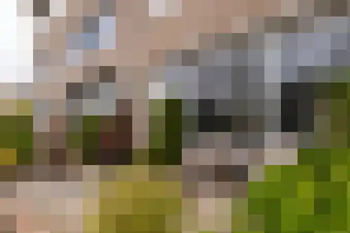 Groene Steen 13 Hoorn thumbnail 48