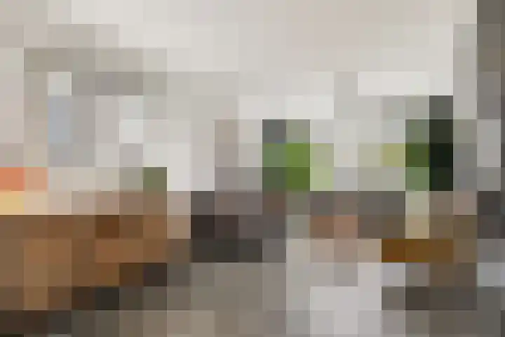 Groene Steen 13 Hoorn thumbnail 8