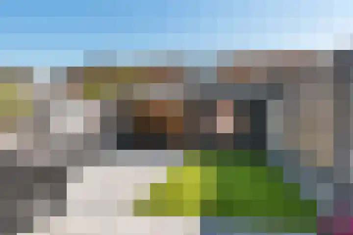 Groene Steen 2 Hoorn thumbnail 29