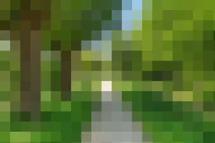 Groene Steen 2 Hoorn thumbnail 35