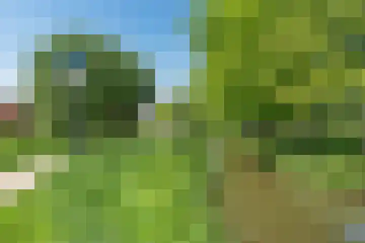 Groene Steen 2 Hoorn thumbnail 36