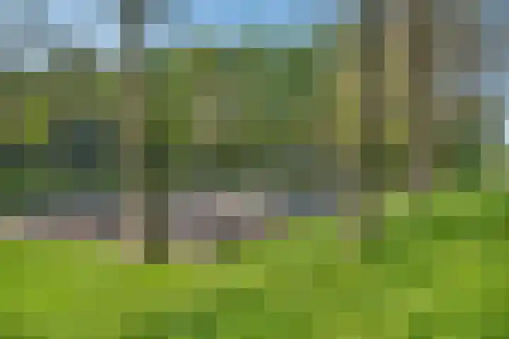 Groene Steen 2 Hoorn thumbnail 37