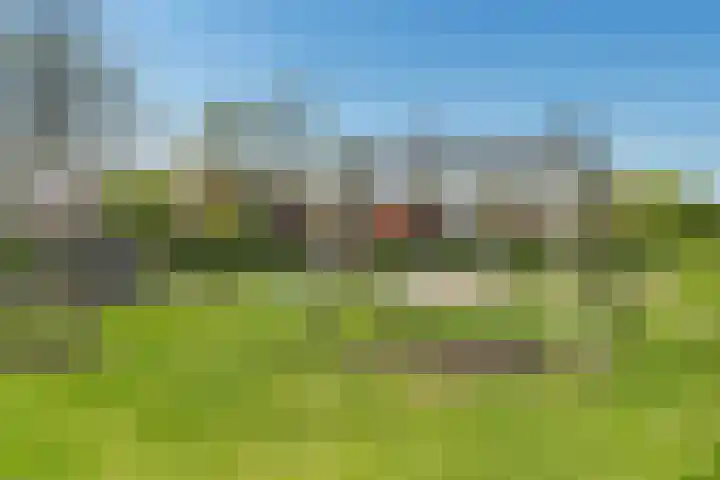 Groene Steen 2 Hoorn thumbnail 38