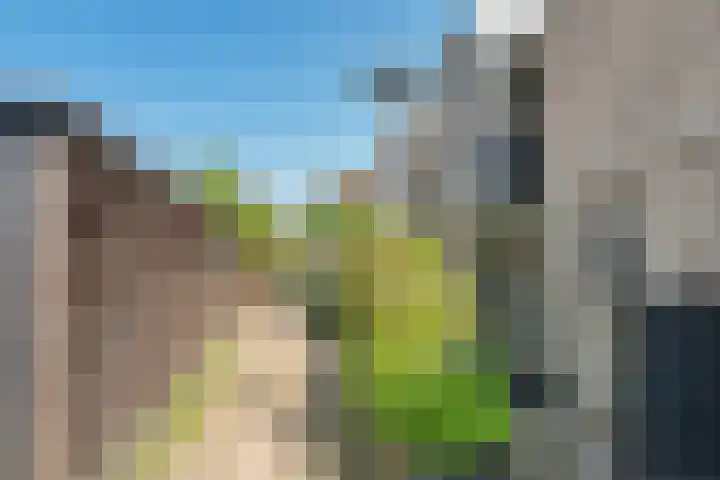 Groene Steen 2 Hoorn thumbnail 39
