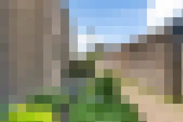 Groene Steen 2 Hoorn thumbnail 40