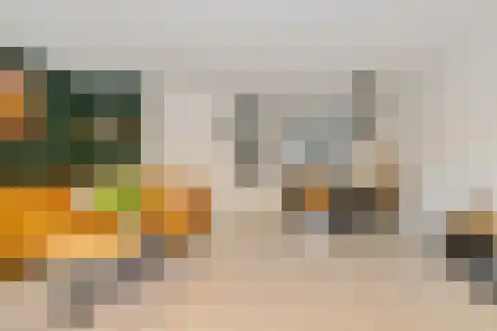 Groene Steen 2 Hoorn thumbnail 9