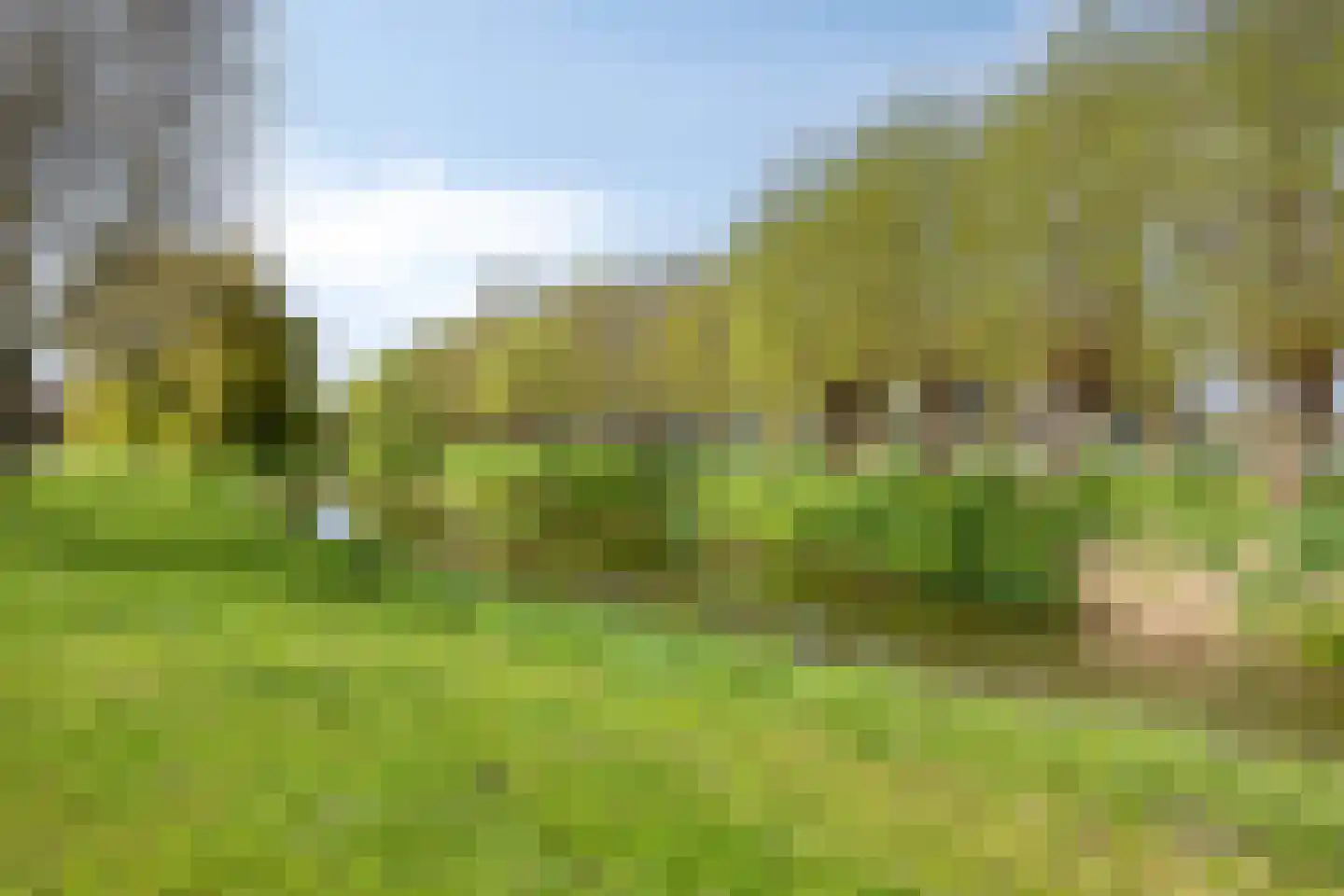 Groene Steen 21 Hoorn thumbnail 27