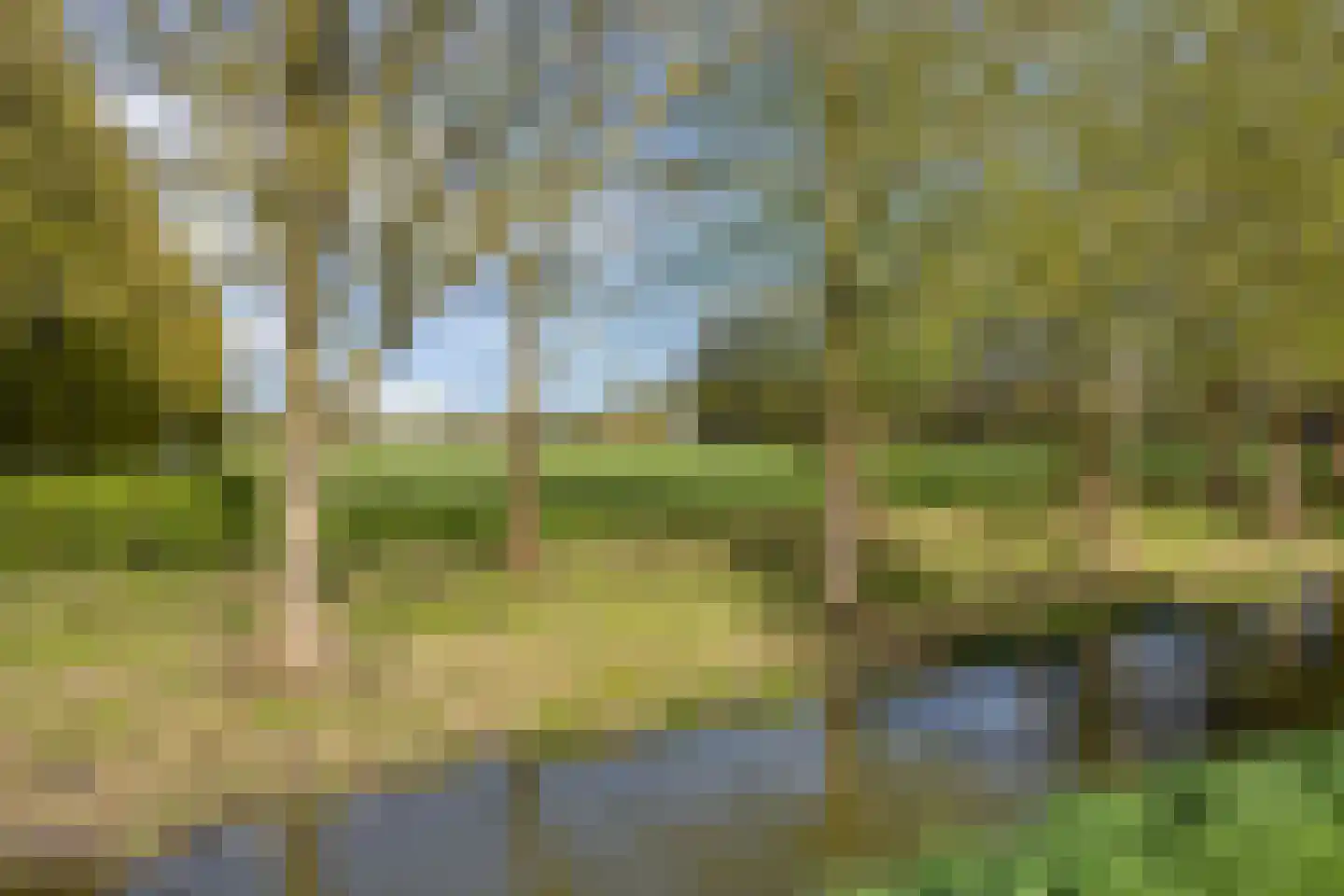 Groene Steen 21 Hoorn thumbnail 28