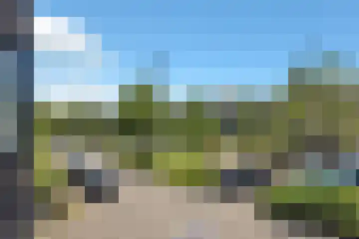 Groene Steen 22 Hoorn thumbnail 25