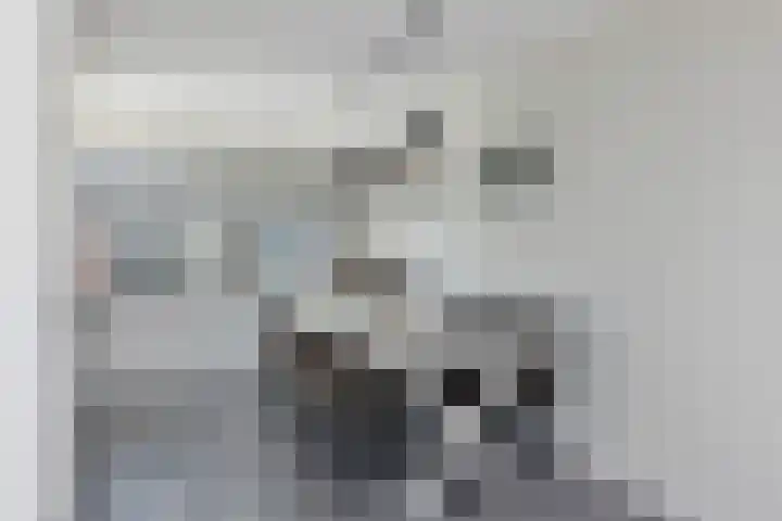 Groene Steen 22 Hoorn thumbnail 8
