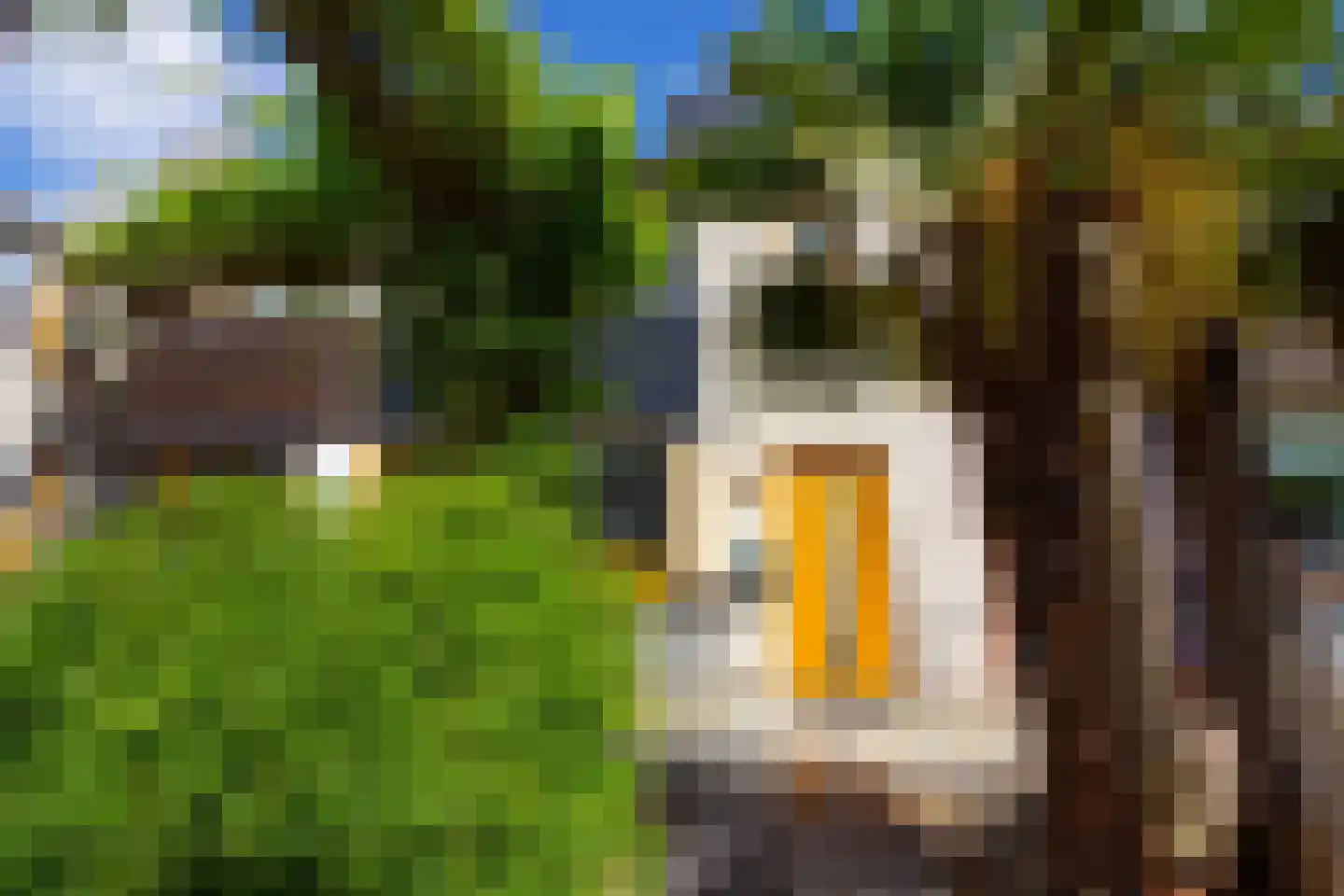 Groene Steen 24 Hoorn thumbnail 4