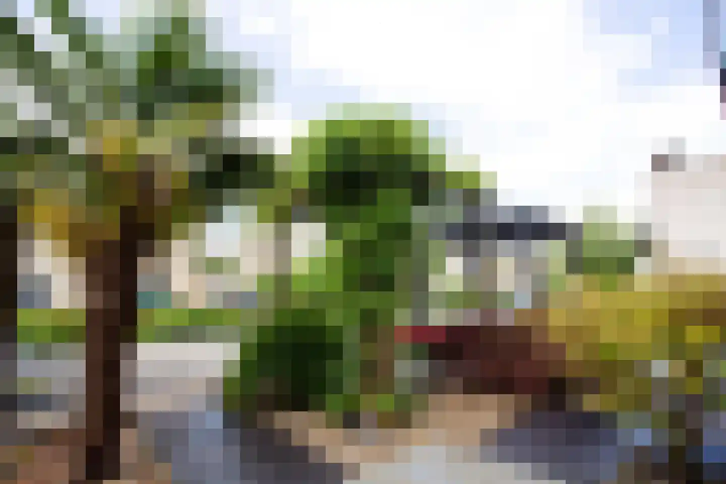 Groene Steen 24 Hoorn thumbnail 5