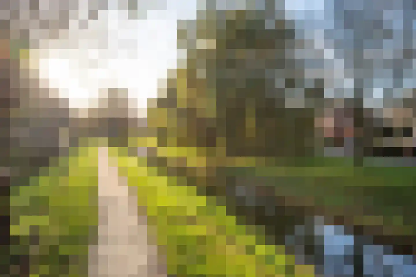 Groene Steen 32 Hoorn thumbnail 54