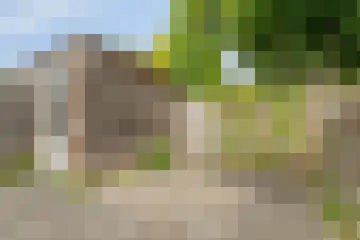 Groene Steen 41 Hoorn thumbnail 33