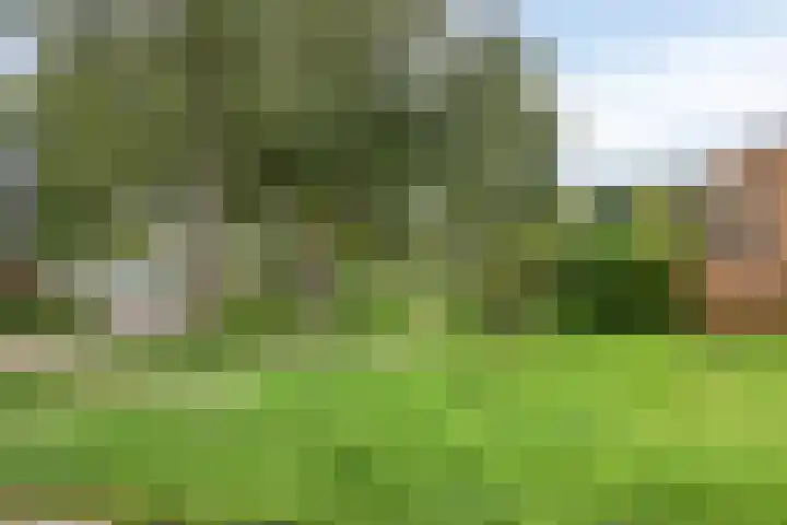 Groene Steen 41 Hoorn thumbnail 36