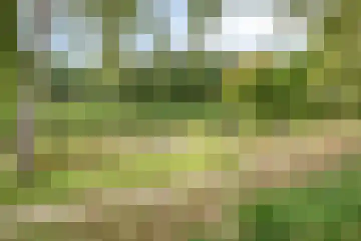 Groene Steen 41 Hoorn thumbnail 37