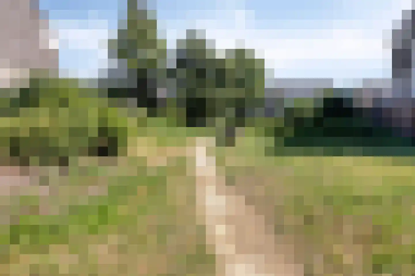 Groene Steen 8 Hoorn thumbnail 46