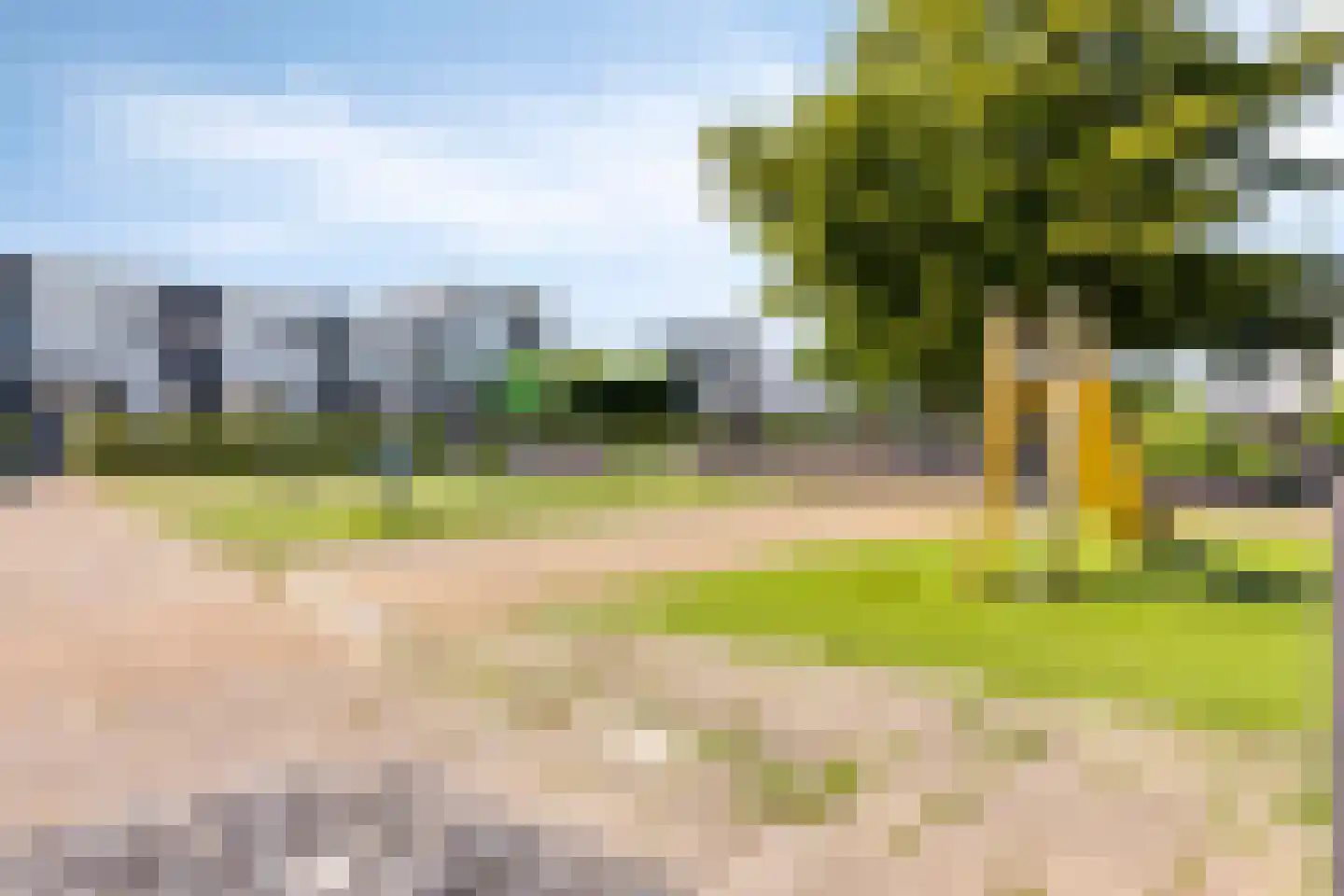 Groene Steen 8 Hoorn thumbnail 47